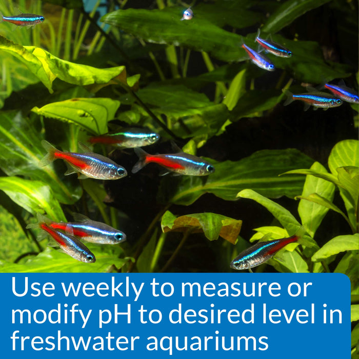 API PH TEST & ADJUSTER KIT FOR FRESHWATER