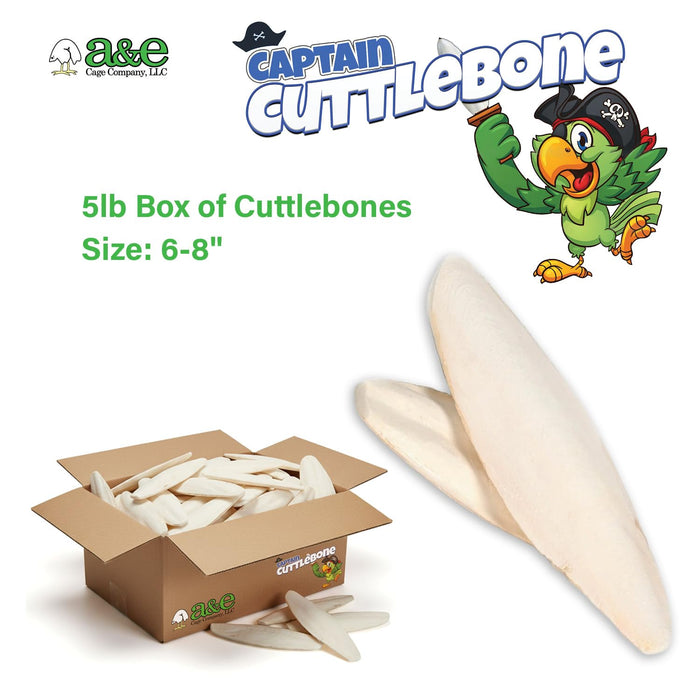 A&E CUTTLEBONE BULK