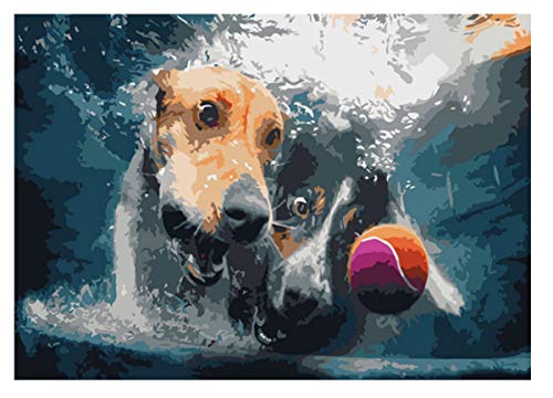 Paint by Numbers for Adults - Underwater Dogs Artist Photo Series Paint by Number Kit with Acrylic Paints, Brushes Canvas - Beginner DIY Painting by Numbers for Adults and Kids