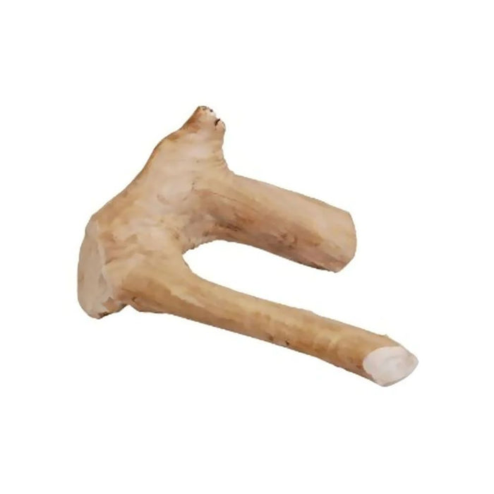 JAVA WOOD REPTILE BRANCH