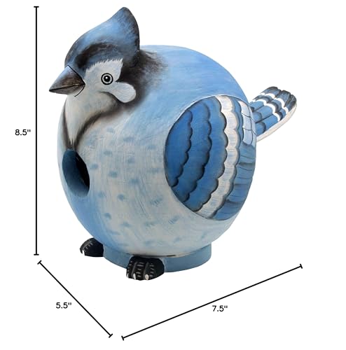 Bobbo from Songbird Essentials Blue Jay Gord-O Bird House