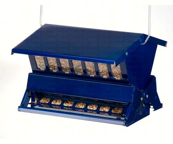 Blue Absolute II
