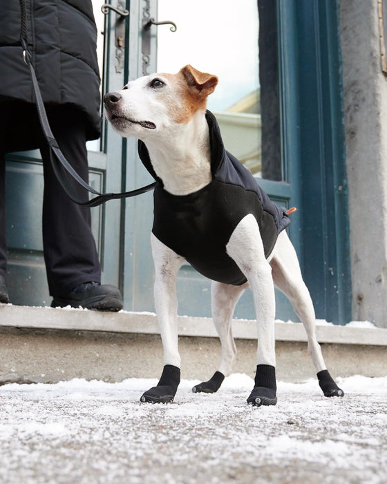 GOO-EEZ ATHLETICAZ DOG BOOTS