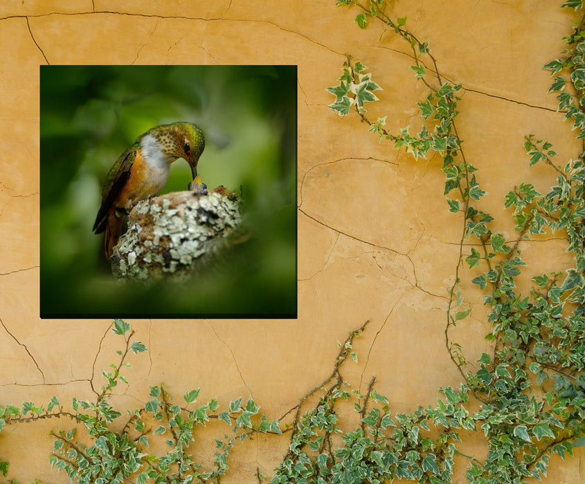 HUMMINGBIRD NEST by West of the Wind | Waterproof Outdoor Wall Art