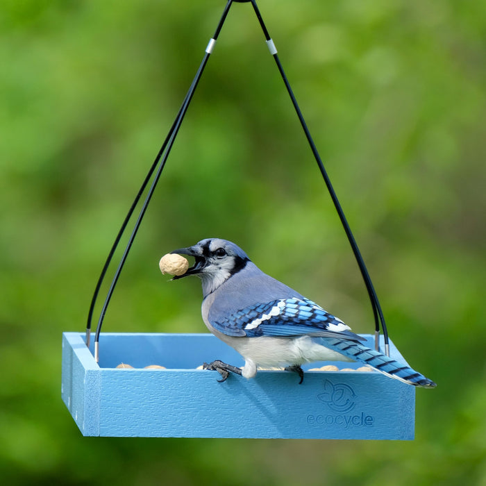 ECOCYCLE PERFECT PICNIC PLATFORM FEEDER