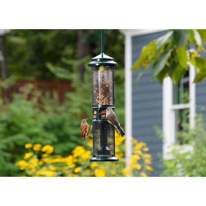 Squirrel Buster Nut Feeder Squirrel-Proof Bird Feeder for Nuts and Fruit, Two Meshes