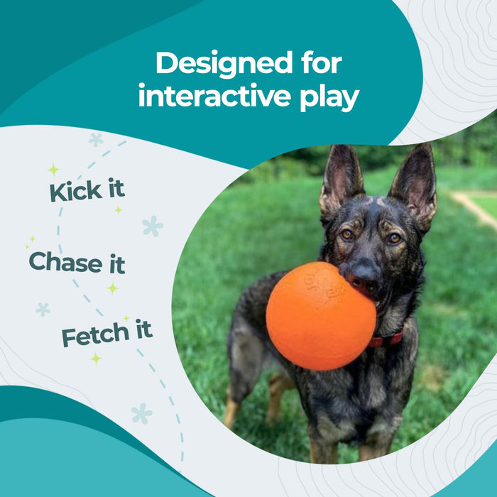 JOLLY PETS BOUNCE-N-PLAY BALL