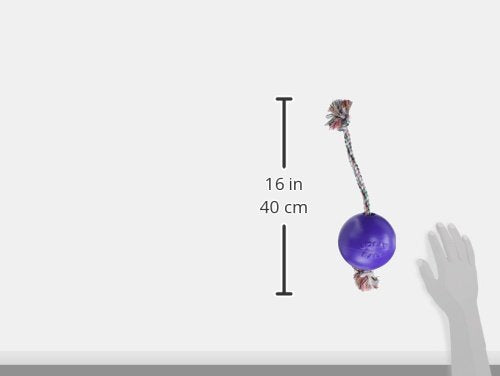 JOLLY PETS ROMP-N-ROLL BALL