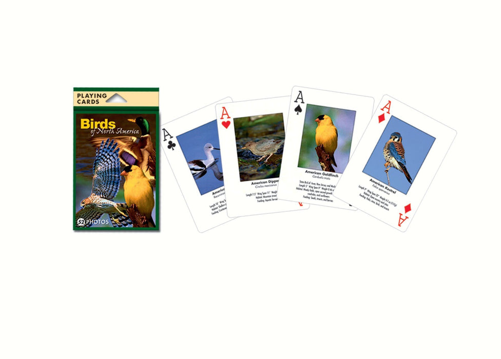 Impact Photographics North American Birds Playing Cards