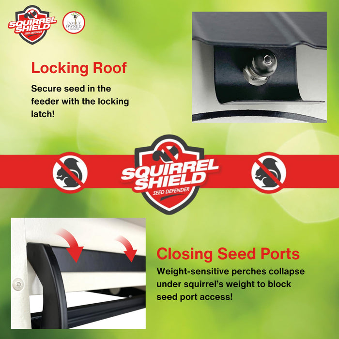 SQUIRREL SHIELD HOPPER FEEDER