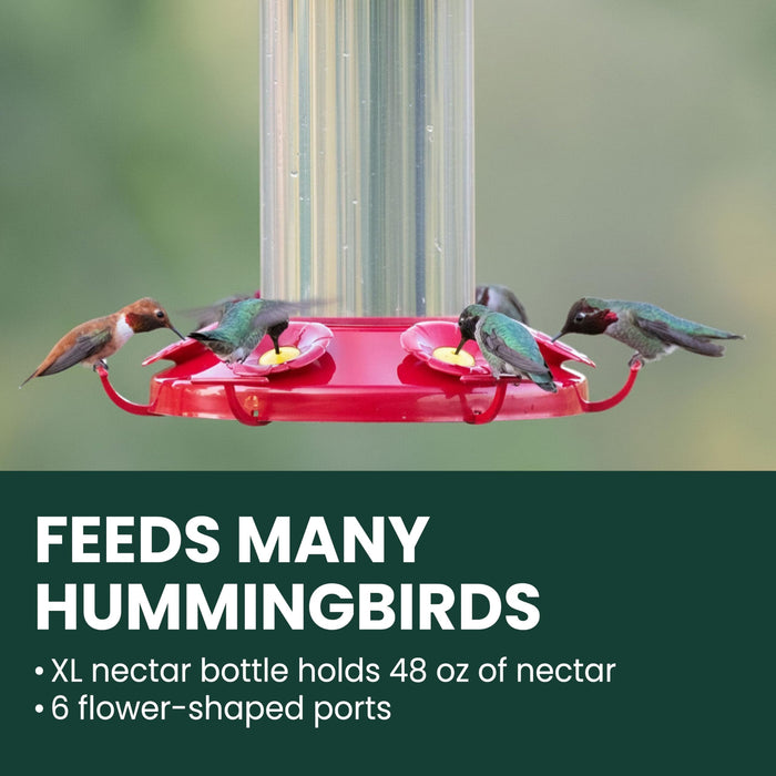 Perky-Pet Grand Master Hummingbird Feeder, 48 oz Nectar Capacity