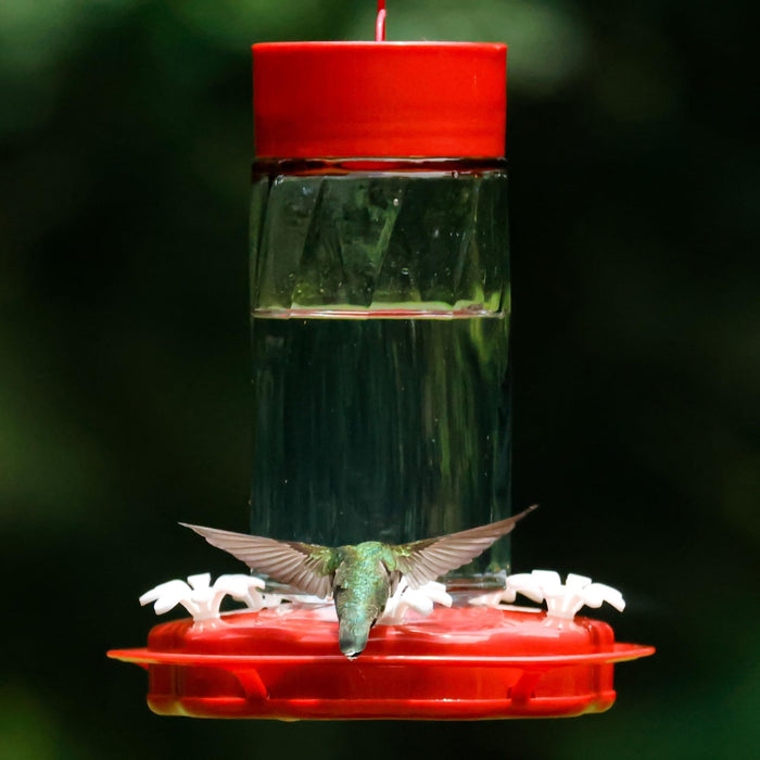 SCARLET SWIRL GLASS HUMMINGBIRD FEEDER