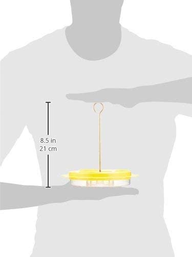 Naturesroom Birds Choice Butterfly Feeder Kit (Feeder with Nectar)
