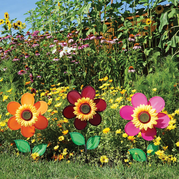 12 Orange Sunflowers with Lea