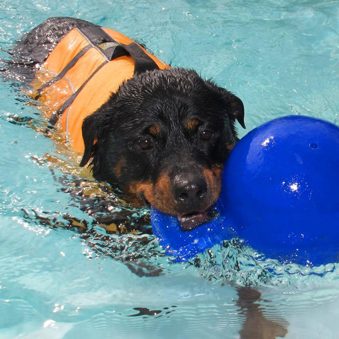 JOLLY PETS TUG-N-TOSS BALL