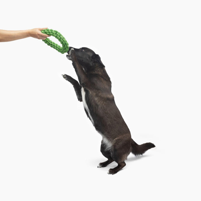 JOLLY PETS KNOT N CHEW TIK TAK TUGZZ O