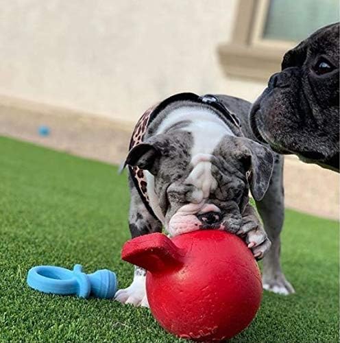 JOLLY PETS TUG-N-TOSS BALL