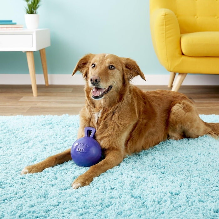 JOLLY PETS TUG-N-TOSS BALL