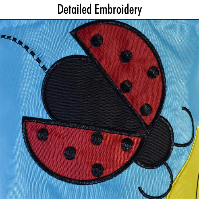 Ladybug Funsock