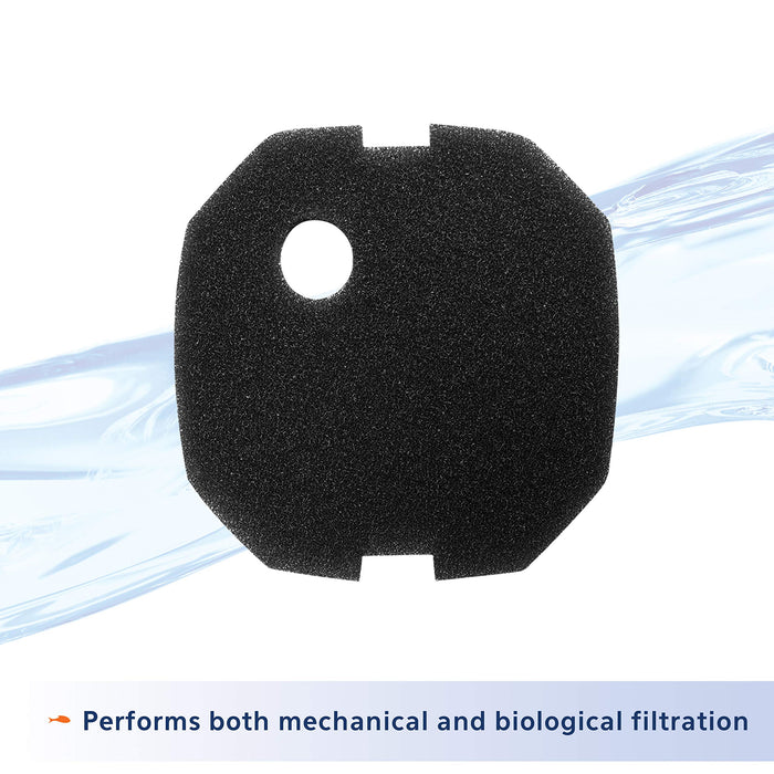 AQUEON COARSE FOAM PAD