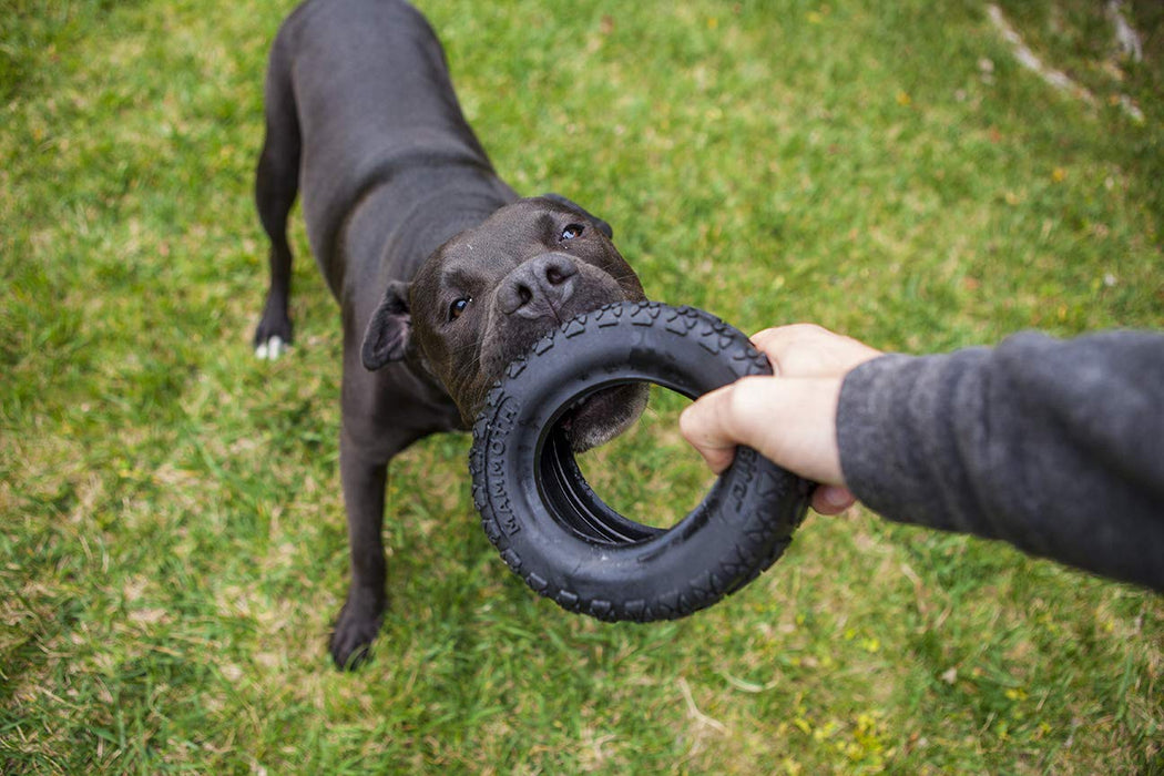 TIREBITER II