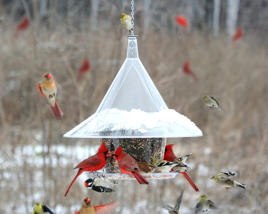 Arundale Sky Café Bird Feeder AR360, Clear