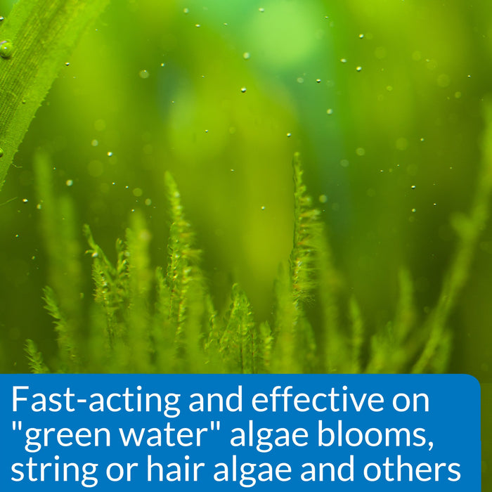 API ALGAEFIX