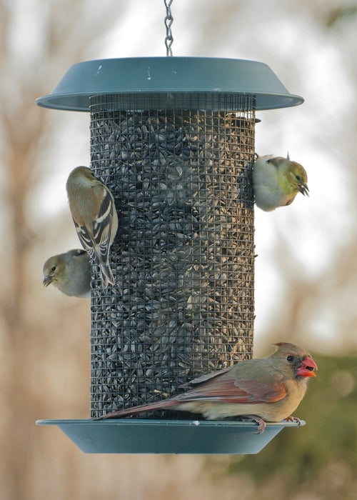 AUDUBON MAGNUM PLASTIC SUNFLOWER SCREEN FEEDER