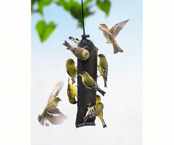 Thistle - Nyjer Seed Bird Feeders: Finch Magic Thistle Sack