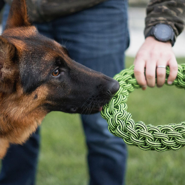 JOLLY PETS KNOT N CHEW TIK TAK TUGZZ O