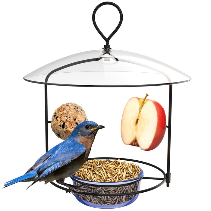 Bluebird Buffet