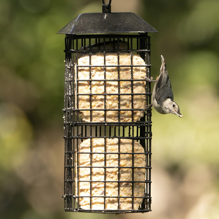 METAL SUET CAGE BIRD FEEDER W/ ROOF