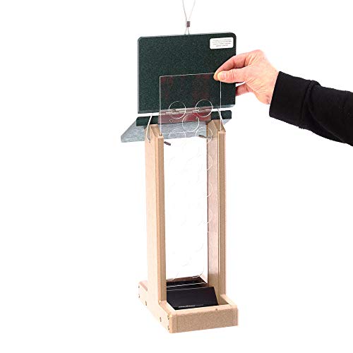 Birds Choice Jay Feeder – Erdnuss-Futterstation Mit Grünem Dach | Aus Recyceltem Poly-Holz, Für Ganze Erdnüsse