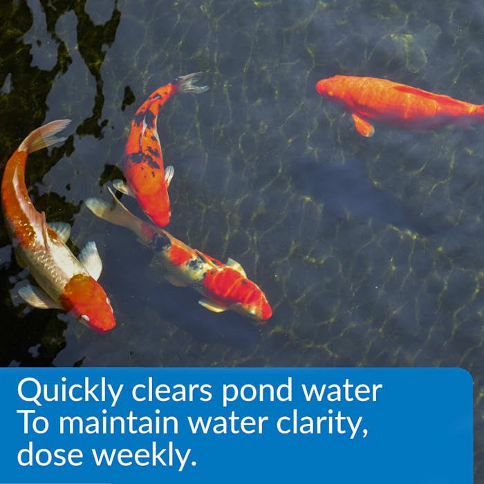API POND ACCU-CLEAR WATER CLARIFIER