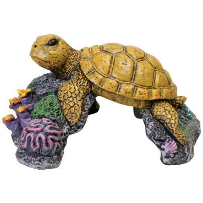 EXOTIC ENVIRONMENTS  SEA TURTLE