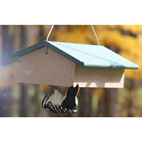 Birds Choice SNUDD Recycled Cake Upside Down Suet Feeder, Seed Block Feeder, 4 Suet Cakes, 11-3/4"L X 8-3/4"W X 4"H, Taupe w/ Green Roof