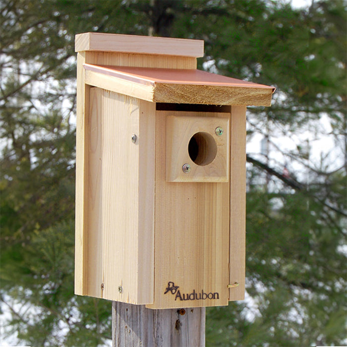 AUDUBON COPPERTOP CEDAR BLUEBIRD HOUSE