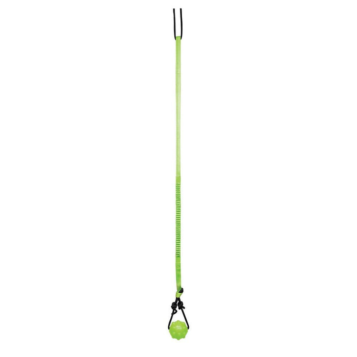 JOLLY PETS TREE TUGGER BUNGEE