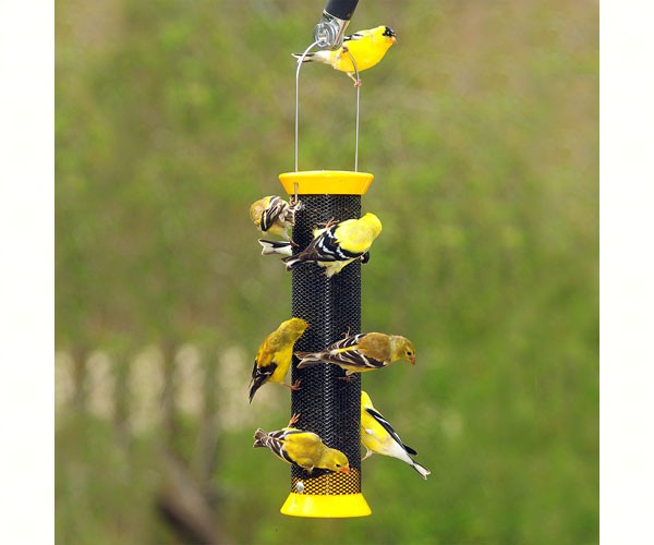 Metal Finch Sock Feeder Yellow