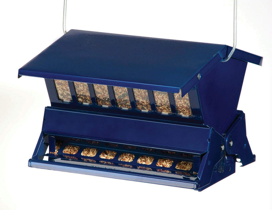 Blue Absolute II