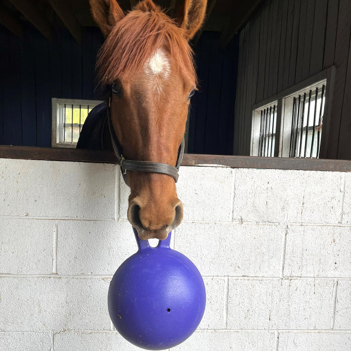 JOLLY PETS TUG-N-TOSS BALL