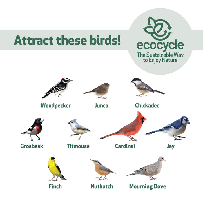 ECOCYCLE COMBO CAFE 2-N-1 BIRD FEEDER & BIRD BATH
