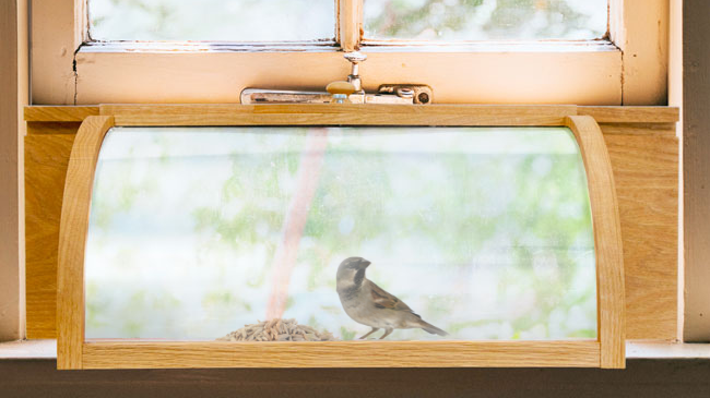 Coveside In-House Breadbox Window Bird Feeder with Mirror  27500