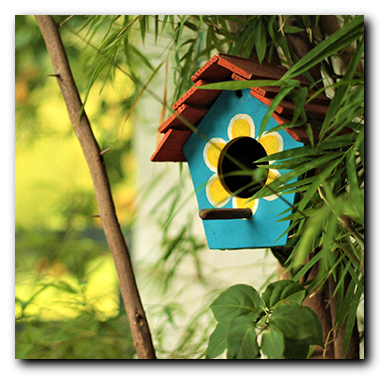 Shop Bird Houses at The Bird Shed