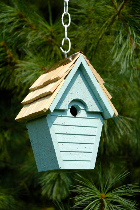 Wren-in-the-wind Bird House - Blue Eggshell