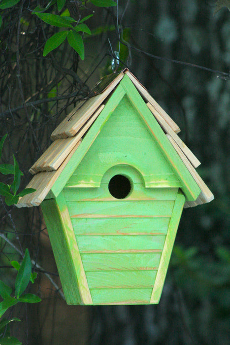Wren-in-the-wind Bird House - Green Apple