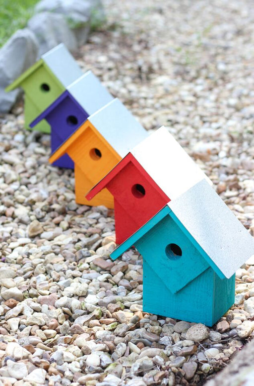 Summer Home Bird House - Assorted colors (Neon Brights)
