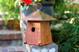 Avian Bungalow Bird House - Mahogany
