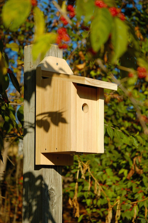 Chickadee Joy Box Bird House - Solid Cypress