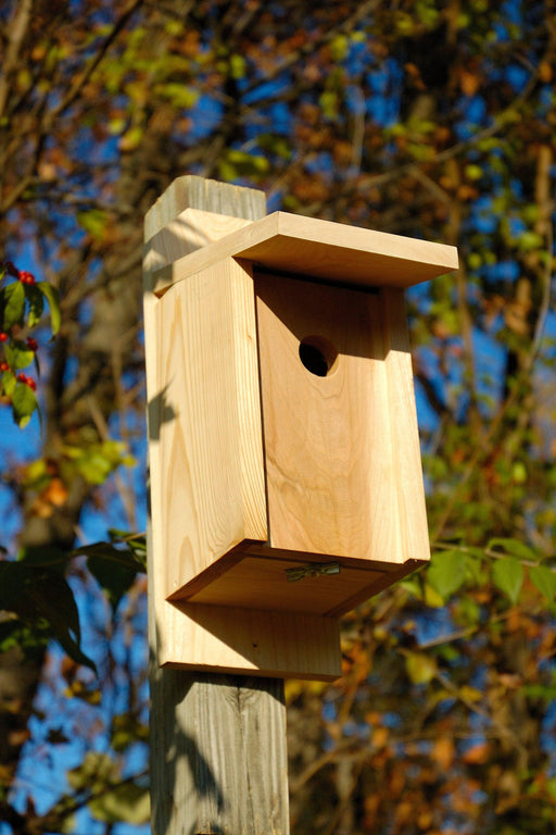 Eastern Bluebird & Swallow Bird House - Solid Cypress
